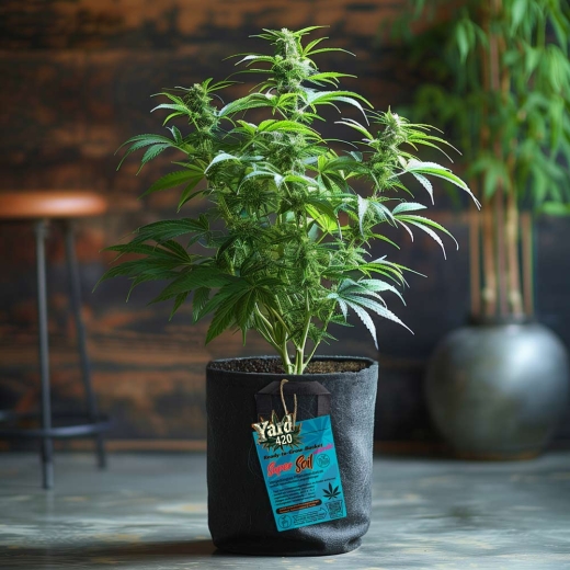 Grow Bucket Super Soil mineralic